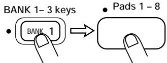 ZOOM ST-224 - Press the [AUTO SYNC] key. - 4