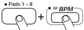 ZOOM ST-224 - STEP1 - 2