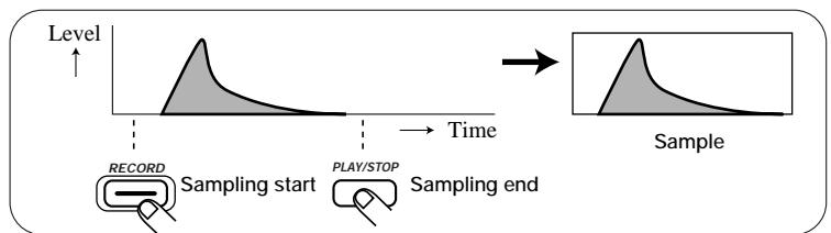 ZOOM ST-224 - STEP6 To end sampling, press the [PLAY/STOP] key. - 1