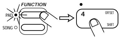 ZOOM ST-224 - STEP 9 - 1
