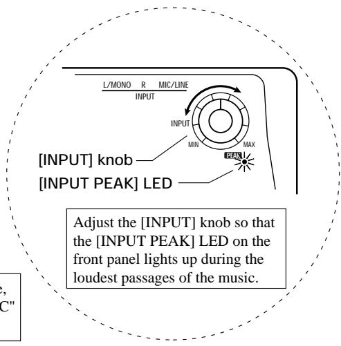 ZOOM ST-224 - Connection to Sound Source (2) (Microphone) - 2