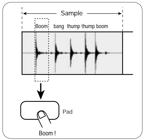 ZOOM ST-224 - Samples - 1