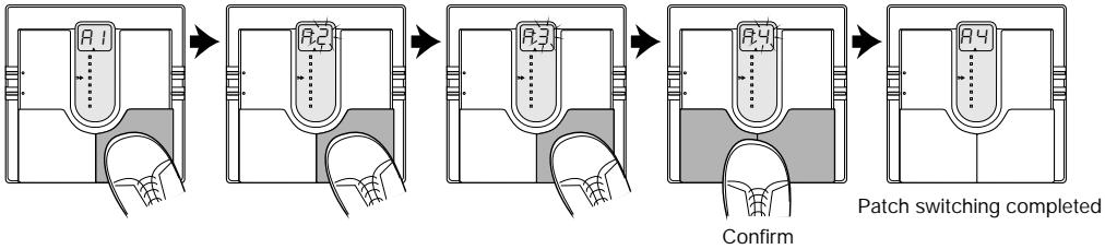 ZOOM 505 - Patch Switching (Application: Direct Load OFF) - 3