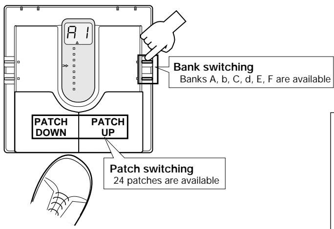 ZOOM 505 - Selecting Patches - 1