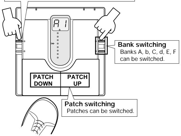 ZOOM 505 - Patch Switching (Application: Direct Load OFF) - 1