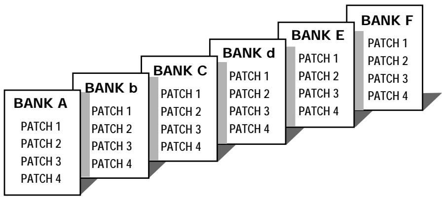 ZOOM 505 - BANK - 1