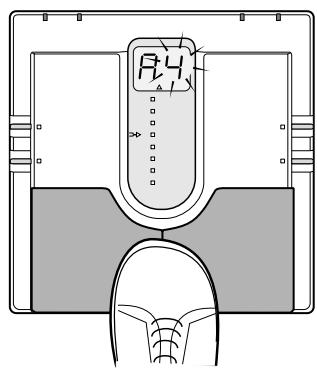 ZOOM 505 - Patch Switching (Application: Direct Load OFF) - 2