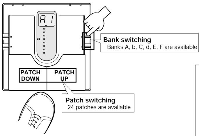 ZOOM 506 - Selecting Patches - 1