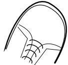 ZOOM 506 - DIRECT LOAD OFF - 2