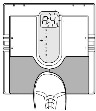 ZOOM 506 - DIRECT LOAD OFF - 3