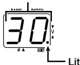 ZOOM 607 - Select the effect parameter - 1