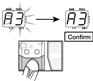ZOOM 607 - Confirm the patch change - 1