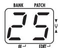 ZOOM G21U - Adjust the rhythm volume - 1