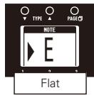 ZOOM G3 - CHROMATICTUNER - 1