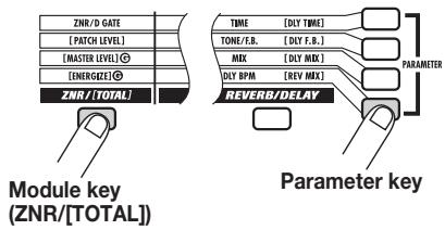 ZOOM GFX3 - Press the leftmost module key (ZNR/[TOTAL]) and then the lowest parameter key. - 1