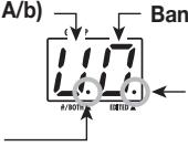 ZOOM GFX3 - Panel display - 1