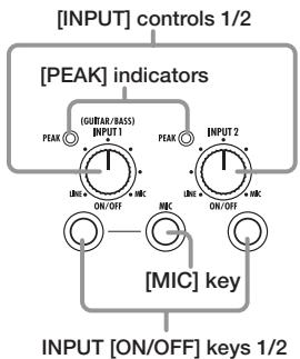 ZOOM MRS8 - Input section - 1