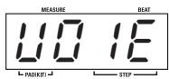 ZOOM MRT3 - Registrazione di pattern in tempo reale - 1