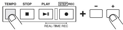 ZOOM MRT3 - Mention tenete premuto il tasto [TEMPO], usate i tasti [VALUE +/-] per regolare il tempo. - 1