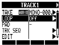 ZOOM R8 - Select LoOP. - 1