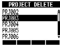 ZOOM R8 - Select the project to delete. - 1