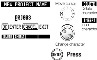 ZOOM R8 - Creating a new project - 4
