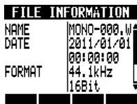 ZOOM R8 - Audio file information - 11