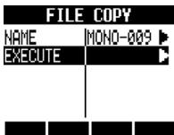 ZOOM R8 - Copying an audio file - 8