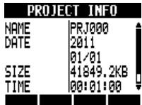 ZOOM R8 - Project information - 5
