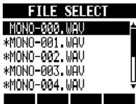 ZOOM R8 - Select the file name. - 1