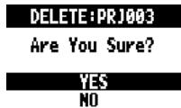 ZOOM R8 - Select YES. - 1