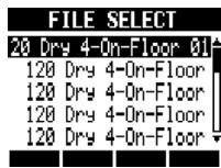 ZOOM R8 - Select a loop. - 1