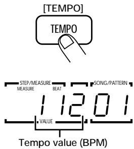 ZOOM RT234 - Press the [TEMPO] key. - 1