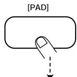 ZOOM RT234 - Hold the [REPEAT/STEP] key down while pushing the pad. - 3
