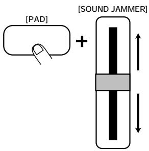 ZOOM RT234 - STEP6 - 1