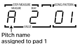 ZOOM RT234 - STEP3 Press the [FUNCTION] key and then pad 1 (BASS KEY). - 1