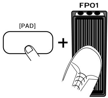 ZOOM RT234 - STEP4 While playing the pads, move the FP01. - 1