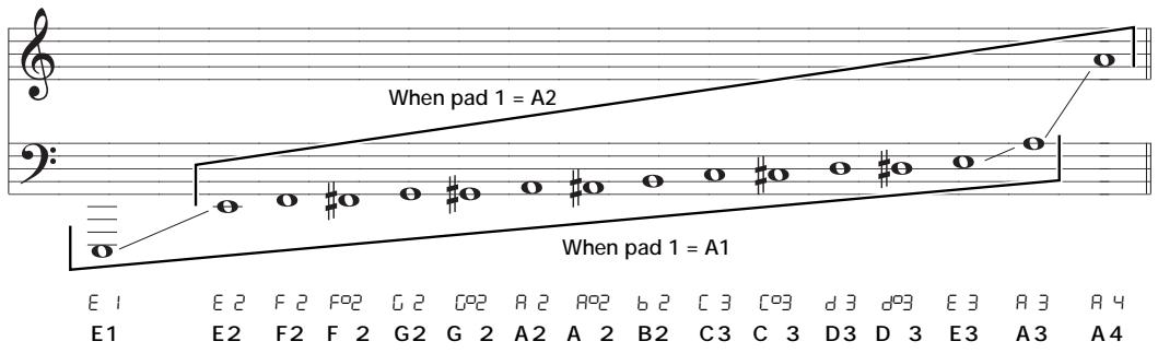 ZOOM RT234 - STEP3 Press the [FUNCTION] key and then pad 1 (BASS KEY). - 5