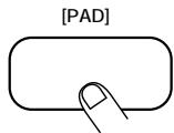 ZOOM RT234 - Hold the [REPEAT/STEP] key down while pushing the pad. - 2