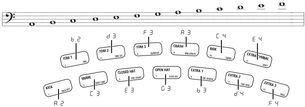 ZOOM RT234 - STEP6 - 1