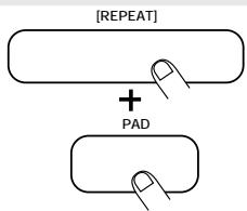 ZOOM RT234 - STEP4 Tap a pad while holding the [REPEAT/STEP] key down. - 2