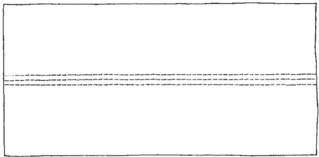 BERNINA 1300MDC - 3-needle Cover Stitch Sample - 1