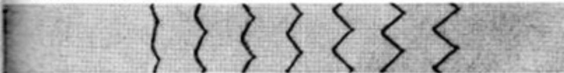 BERNINA 532-1 - Les points d'ornement zigzag et leurs combinaisons - 2