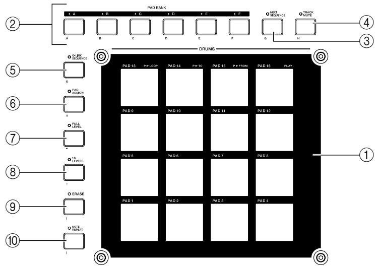 AKAI MPC4000 - Pad section - 1