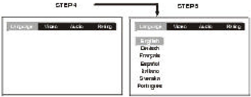 AKAI DVR4100VSS - LANGUAGE setting - 1