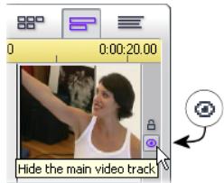 PINNACLE STUDIO 10 PLUS - Track muting and hiding - 2