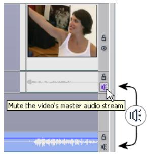 PINNACLE STUDIO 10 PLUS - Track muting and hiding - 1