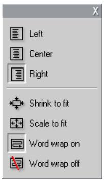 PINNACLE STUDIO 10 PLUS - Text-styling controls - 1