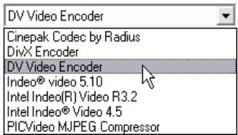 PINNACLE STUDIO 10 PLUS - Video settings - 1