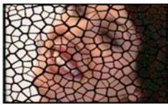 PINNACLE STUDIO 10 PLUS - Stained glass - 3